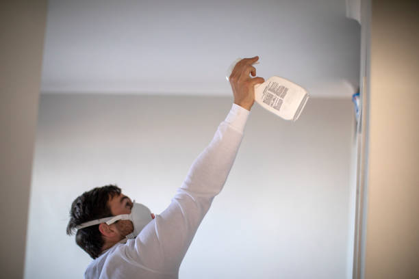 Reliable George, IA Mold Removal Solutions